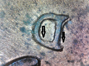New-Find?-1953-LWC-D/D-Error-Coin?